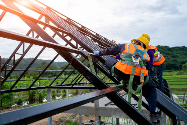 Best Roof Repair Services  in Harlingen, TX