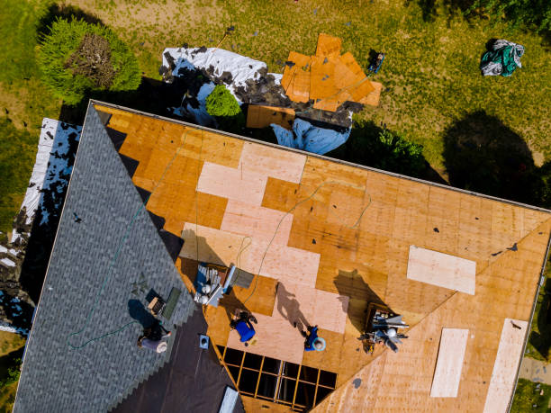 Quick and Trustworthy Emergency Roof Repair Services in Harlingen, TX