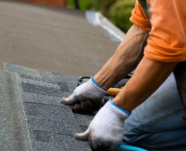 Tile Roofing Contractor in Harlingen, TX
