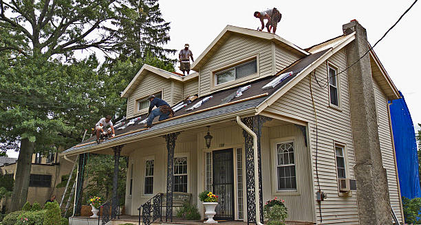 Best Residential Roofing Contractor  in Harlingen, TX